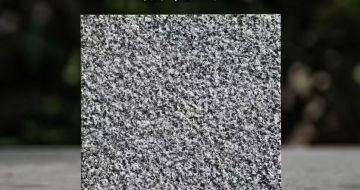 临沂 芝麻黑荔枝面