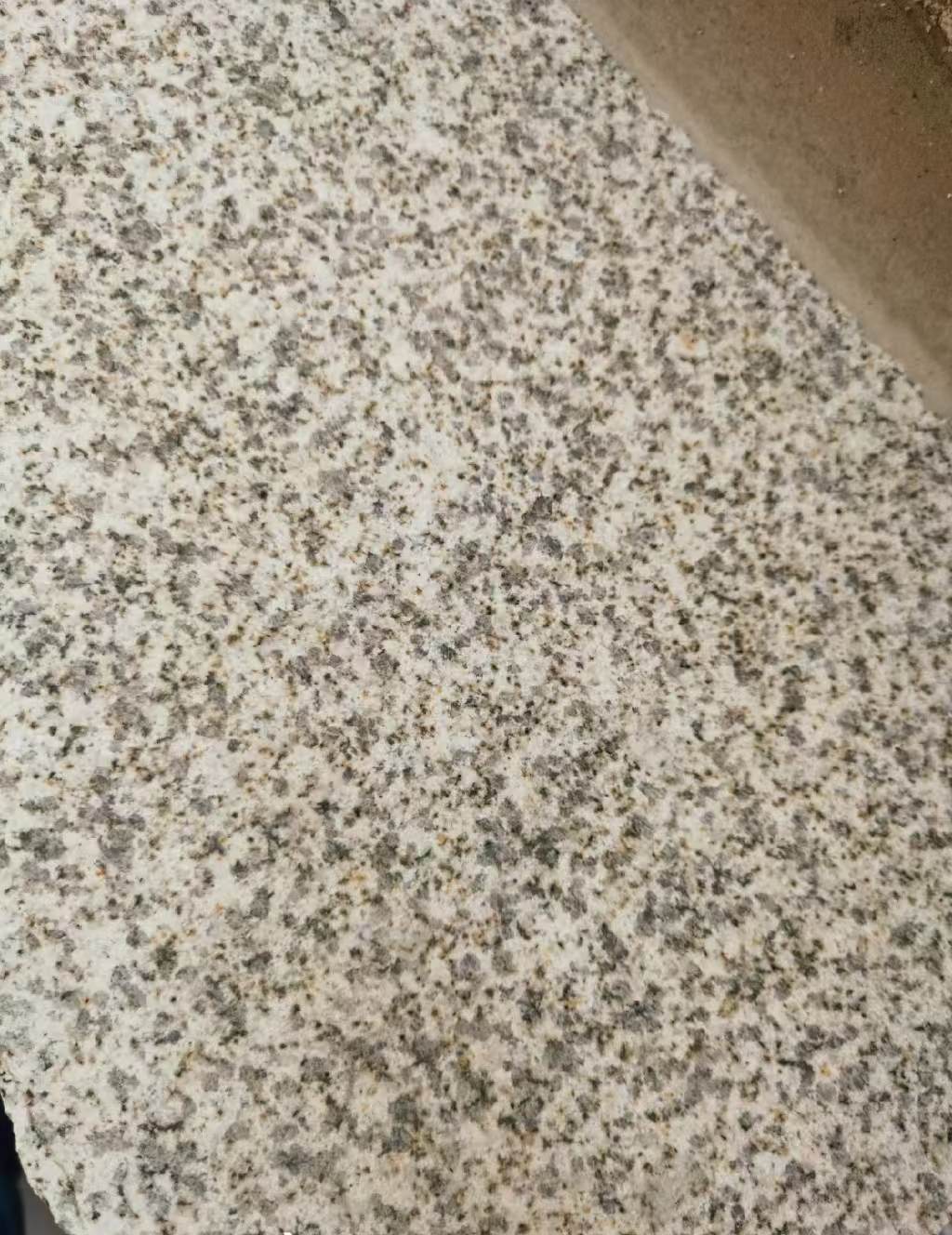 临沂 黄金麻中黄光面