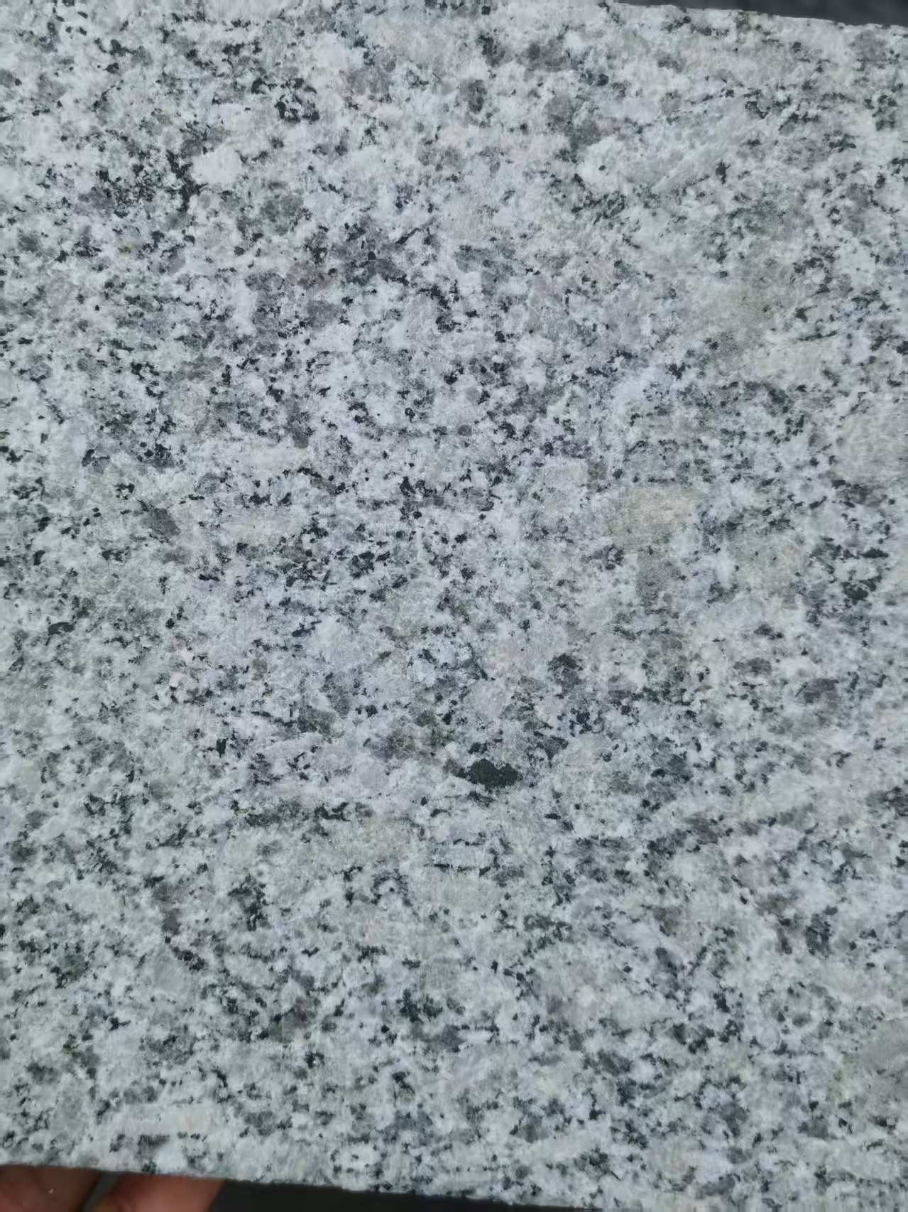 临沂 芙蓉白火烧面